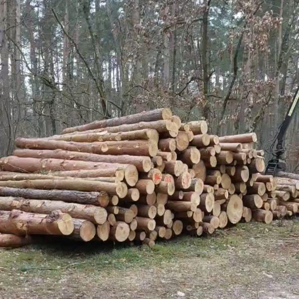 WhatsApp Image 2025-04-06 at 13.53.40